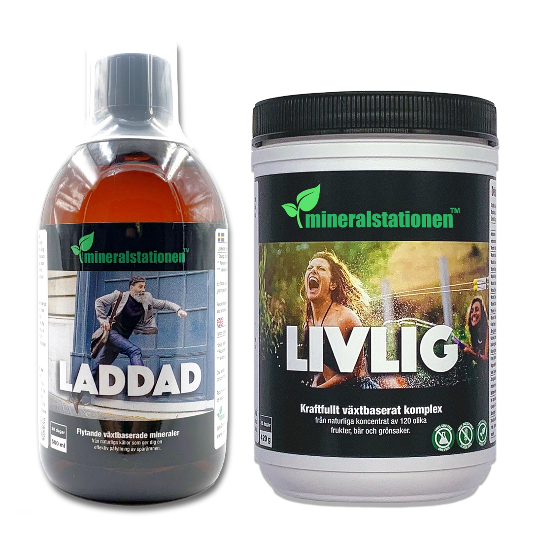 Laddad & Livlig