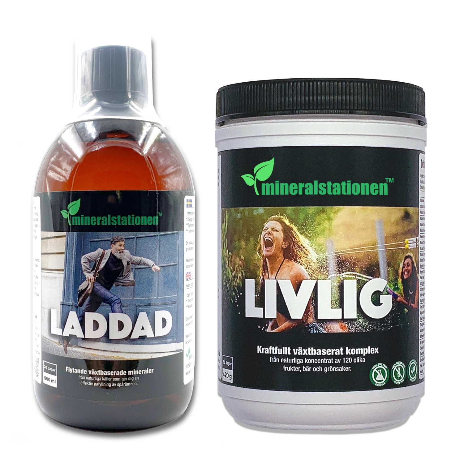 Laddad & Livlig