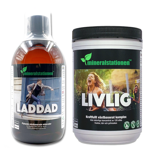 Laddad & Livlig